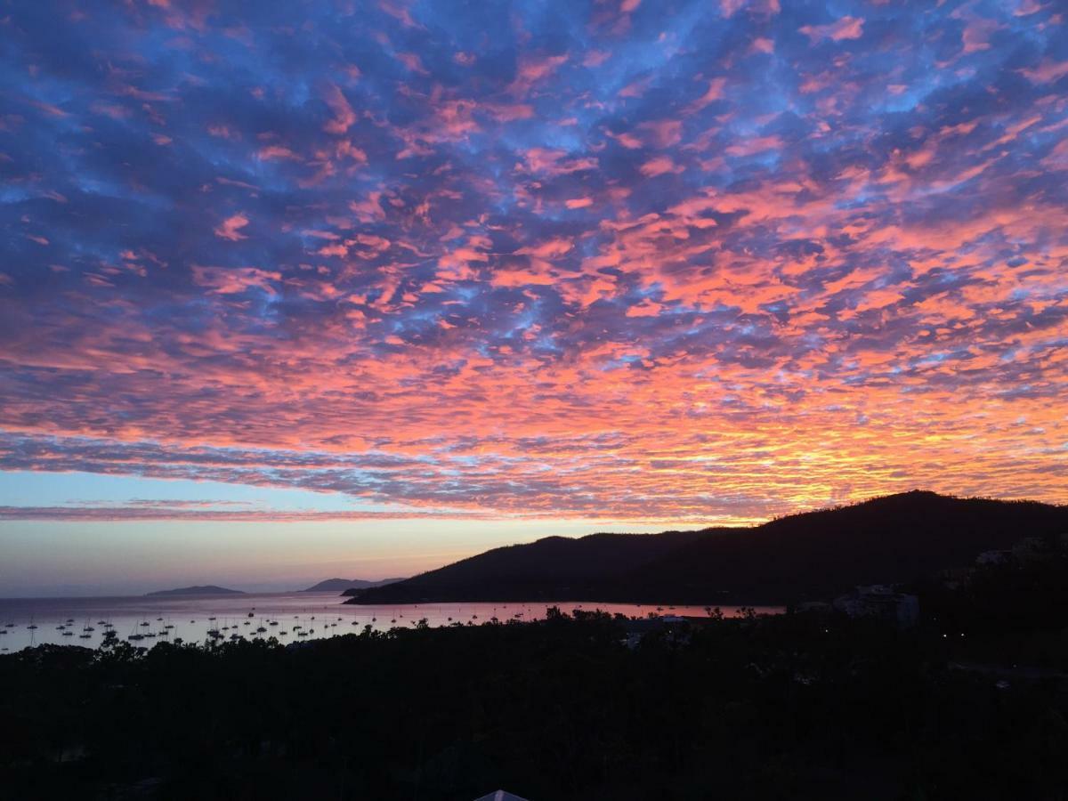 Island Views Bed & Breakfast Airlie Beach Exterior photo